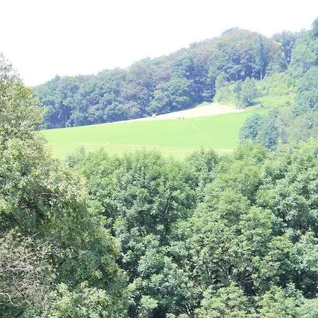 Ferienwohnung Rimbach Appartement *