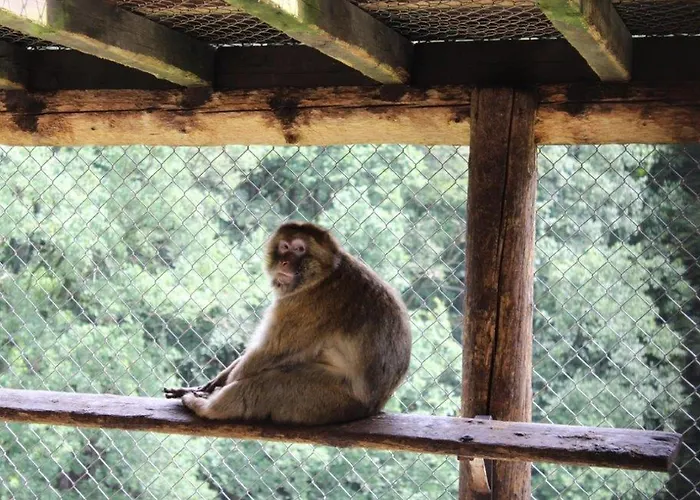 Apartman Ferienwohnung Rimbach