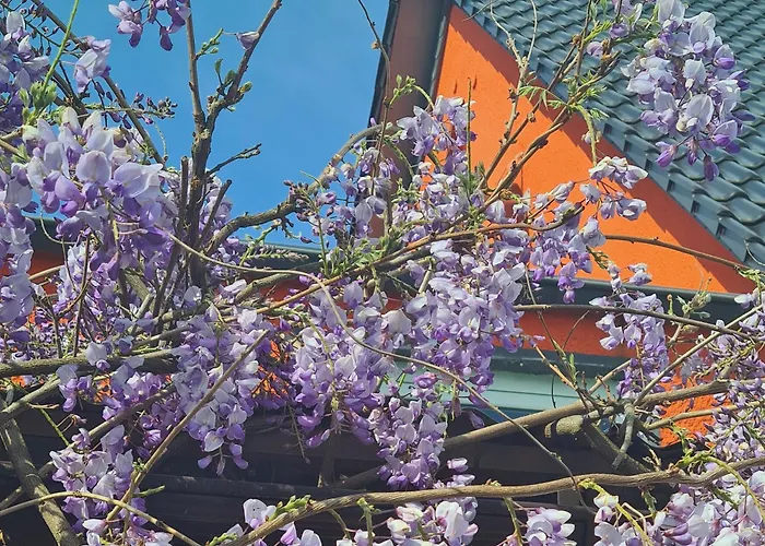 Apartman Ferienwohnung Rimbach Rimbach