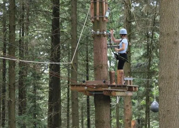 Ferienwohnung Rimbach * Rimbach