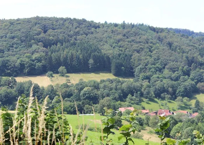 Ferienwohnung Rimbach Apartman